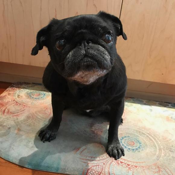 Meet your Posher, Cyndi - Picture 1 of 1